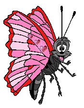 my Lmtd Ed Valentine Butterfly