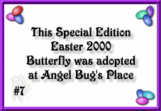 Limited Edition Easter Butterfly 2000 #7